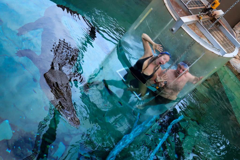 Crocodile swim Cage of Death