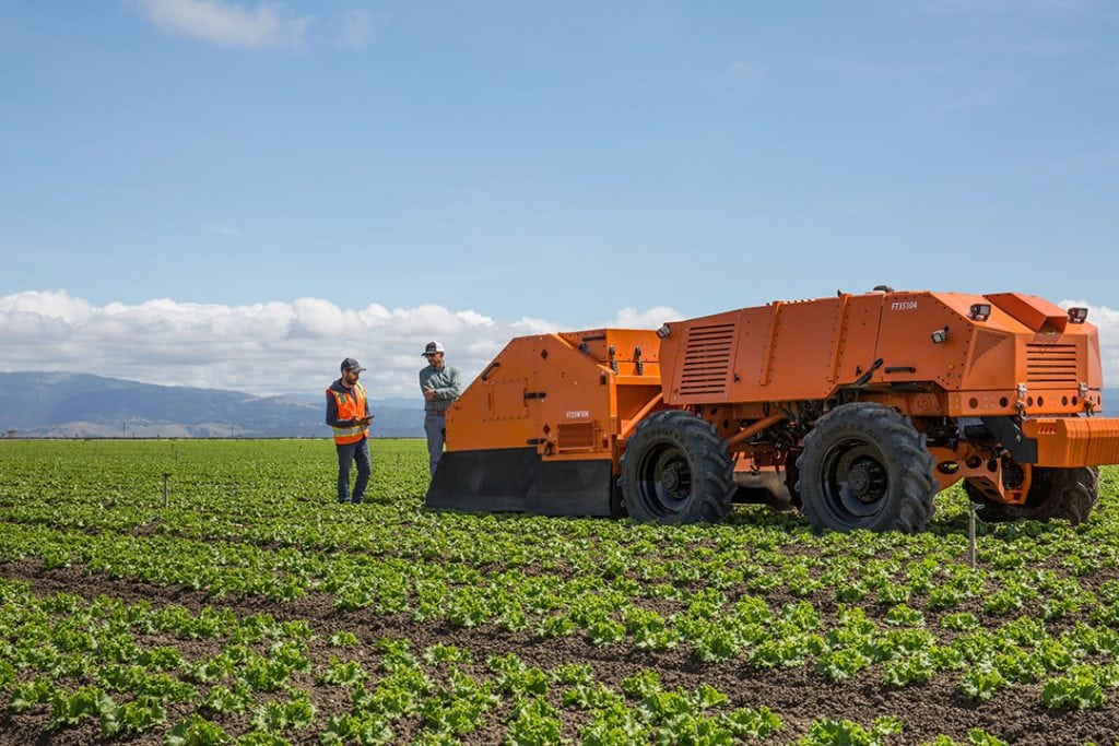 Most currently available field robots are intended to weed in high-value row crops such as lettuce.