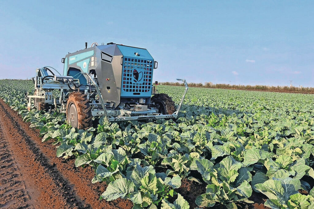 Kooiman supplies camera-guided hoeing machine Farming GT