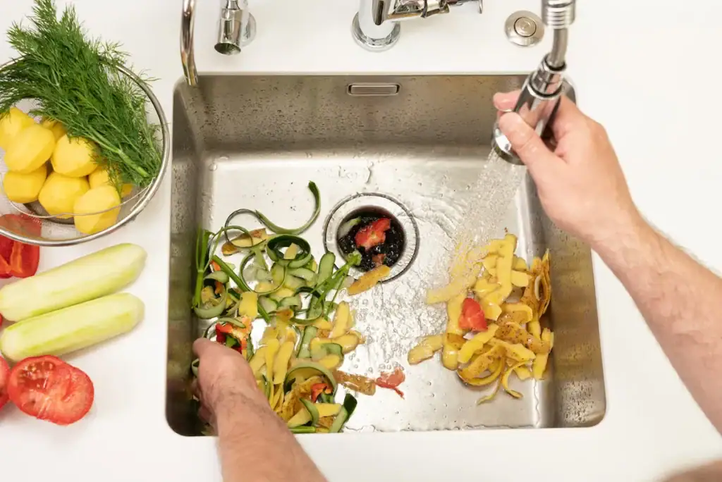 IN SINK ERATOR GARBAGE DISPOSAL NEAR ME