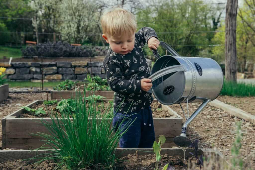 Top 6 Gardening Tools Every Gardener Needs