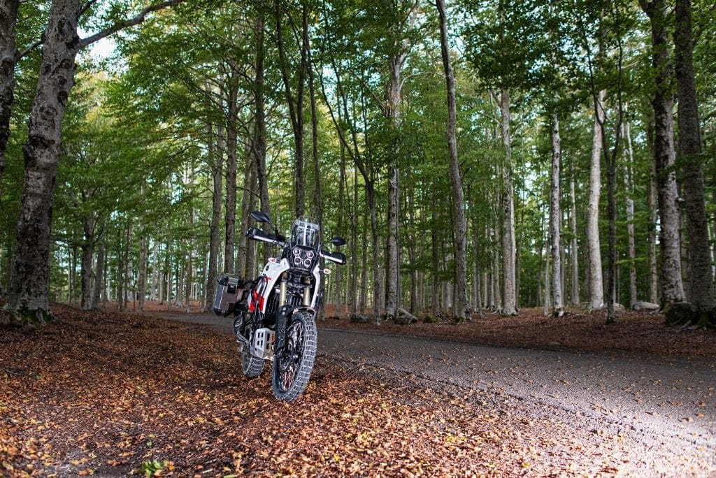 Meine YAMAHA Tenere 700 am Monte Amiata.