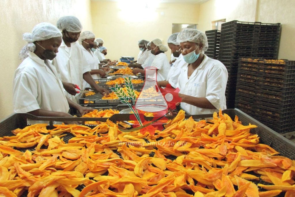 dried mango