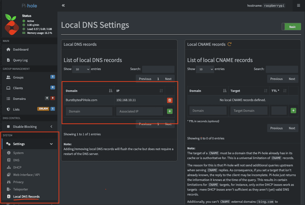 Local DNS Query