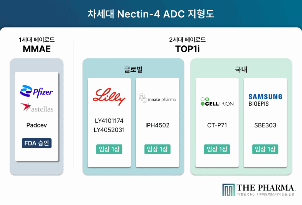 Nectin-4 ADC 약물 파이프라인을 나타내는 인포그래픽. 1세대 약물 MMAE와 2세대 약물 TOP1i에 대한 글로벌 및 국내 임상시험 정보를 포함.