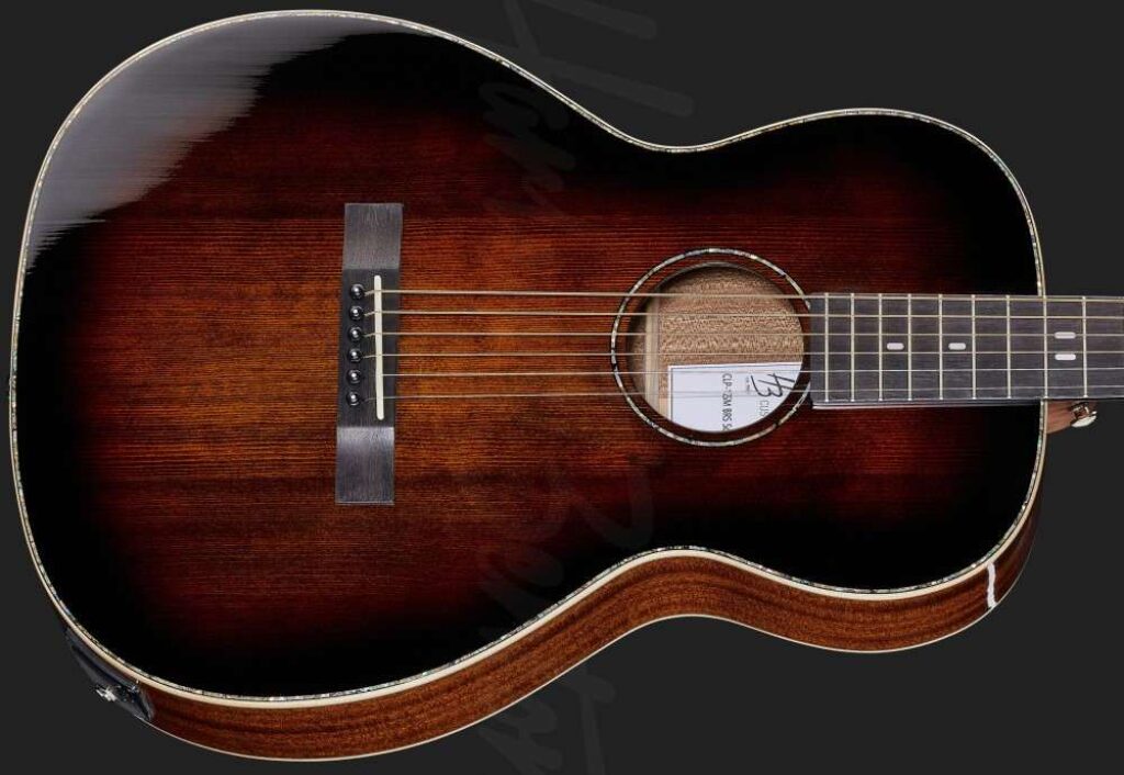 Présentation en détail de la rosace et du chevalet de la guitare Harley Benton CLP-12SM