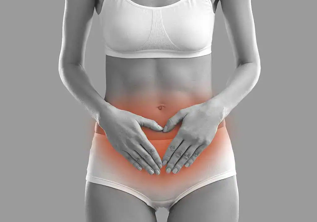 Plesso pudendo e dolore pelvico cronico Pudendal Plexus Pelvic Pain Prostatitis2000.org_