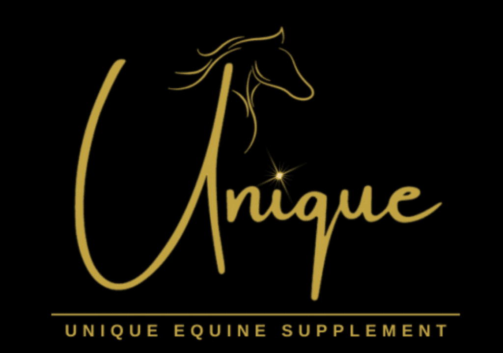 LOGO UNIQUE EQUINE SUPPLEMENT