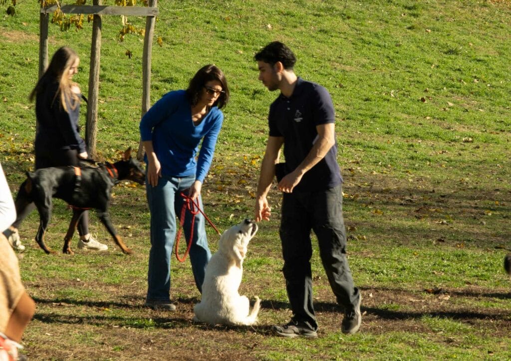 Educateur canin travaillant avec un chiot lors d'un cours d'éducation canine à Aix-en-Provence