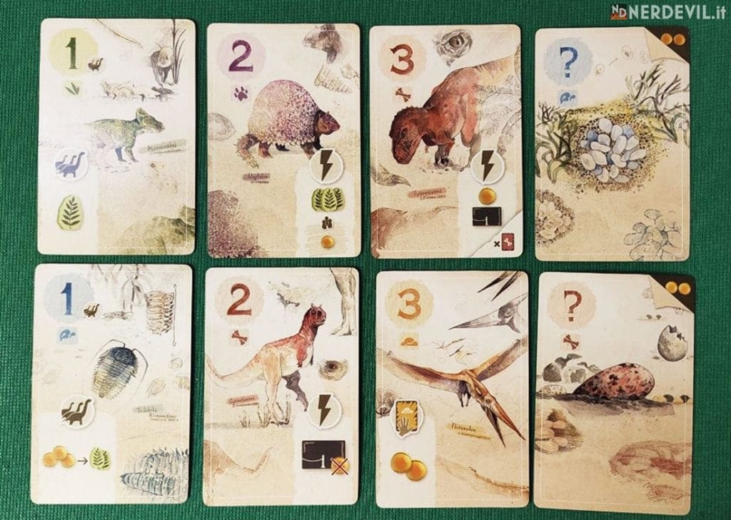 First Giants carte a confronto