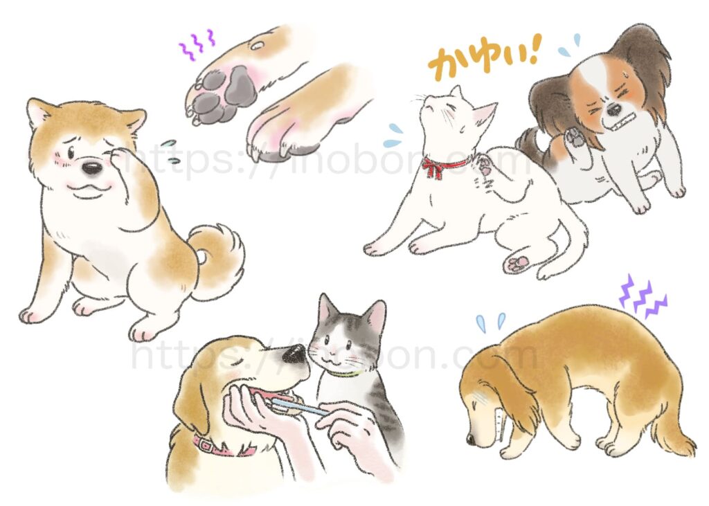 ペットの病気、痒み、痛み、歯みがき