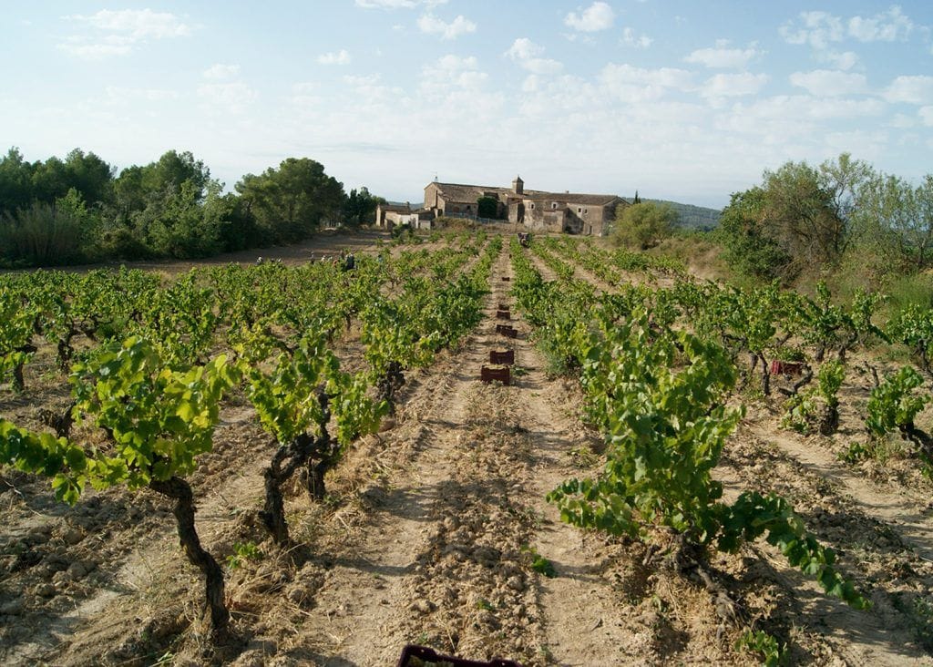 Cal Miret. La parcela emblemática.