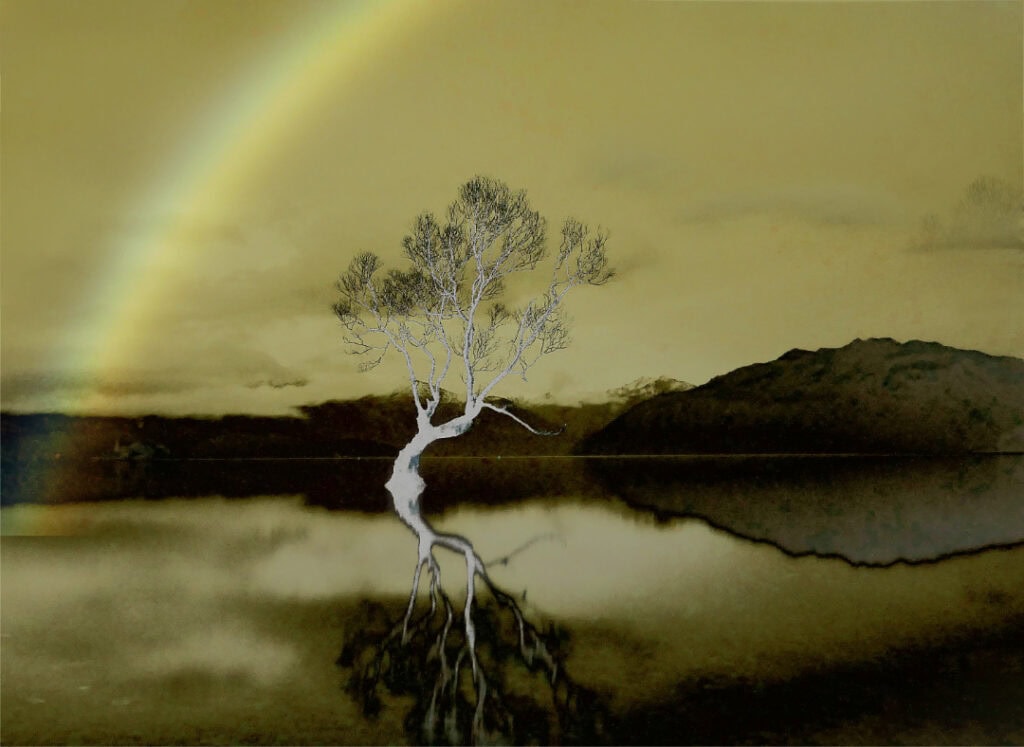 The "Wanaka Lake Tree" with an unusual rainbow light