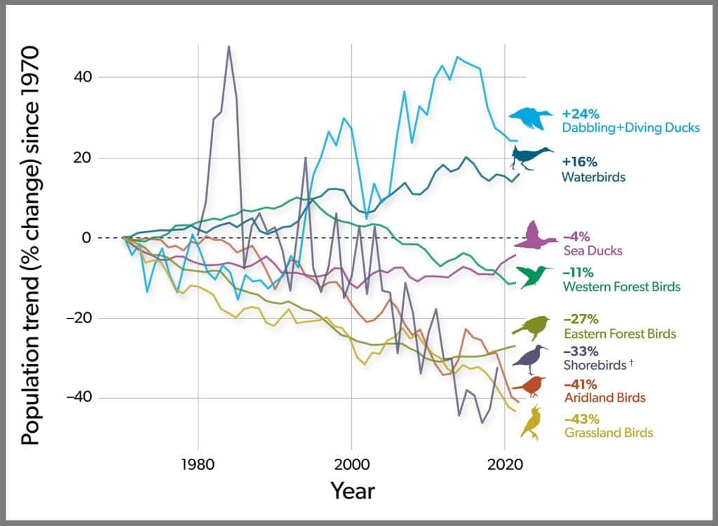 Decline of North America's Bird Over the Past 50 Years 1 Decline of North American Birds past 50 years