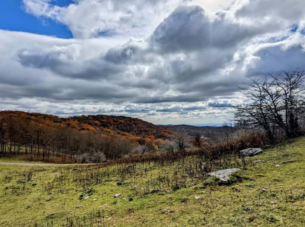 Rolling green fields with autumn leaves - Rich Mountain Carriage Trail. This image is also the featured image in the blog post Your No-Stress Guide to Planning the Perfect Blowing Rock Getaway.