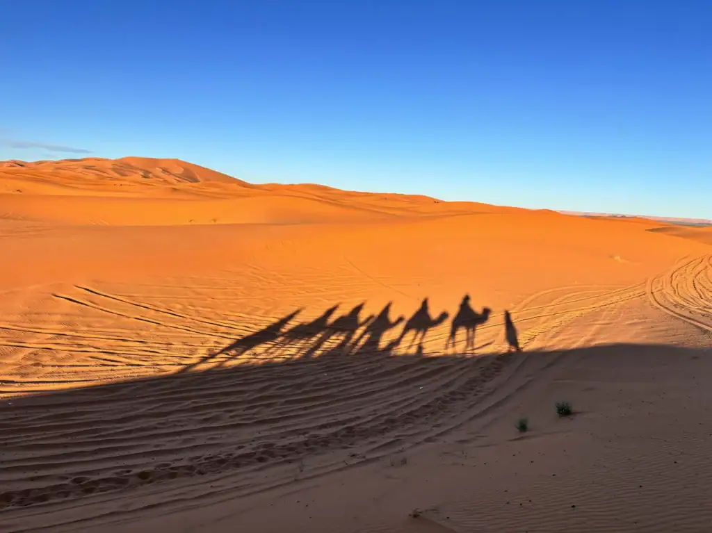 撒哈拉沙漠團Sahara Desert Tour
