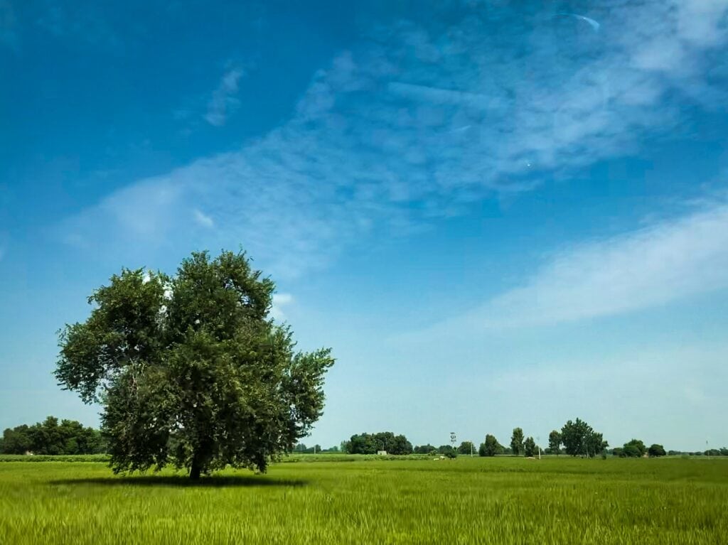 Best places to buy land in washington state
