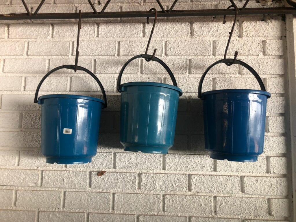Anti-ant hanging buckets contain worm cocoons (eggs) and babies which will have come from the breeder buckets.