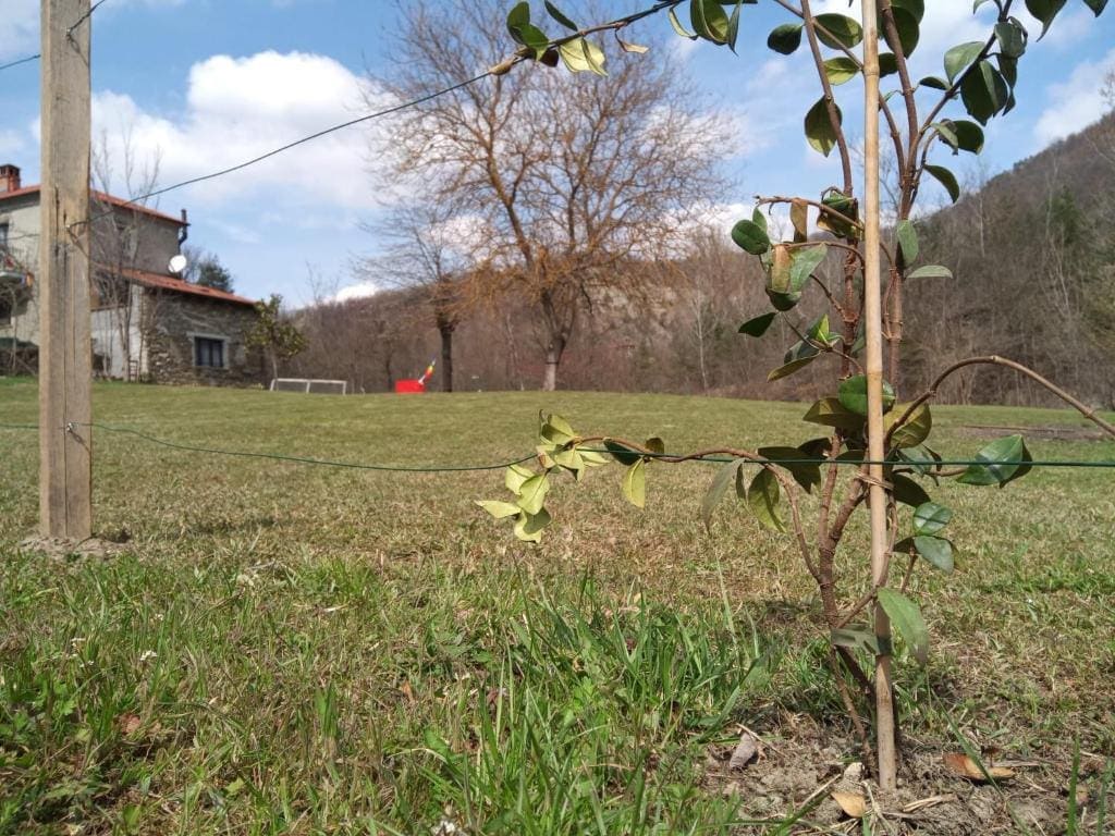 Parco Regionale Piana Crixia