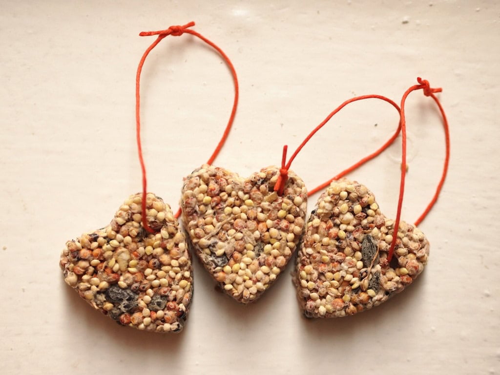How to Make Bird Seed Cakes