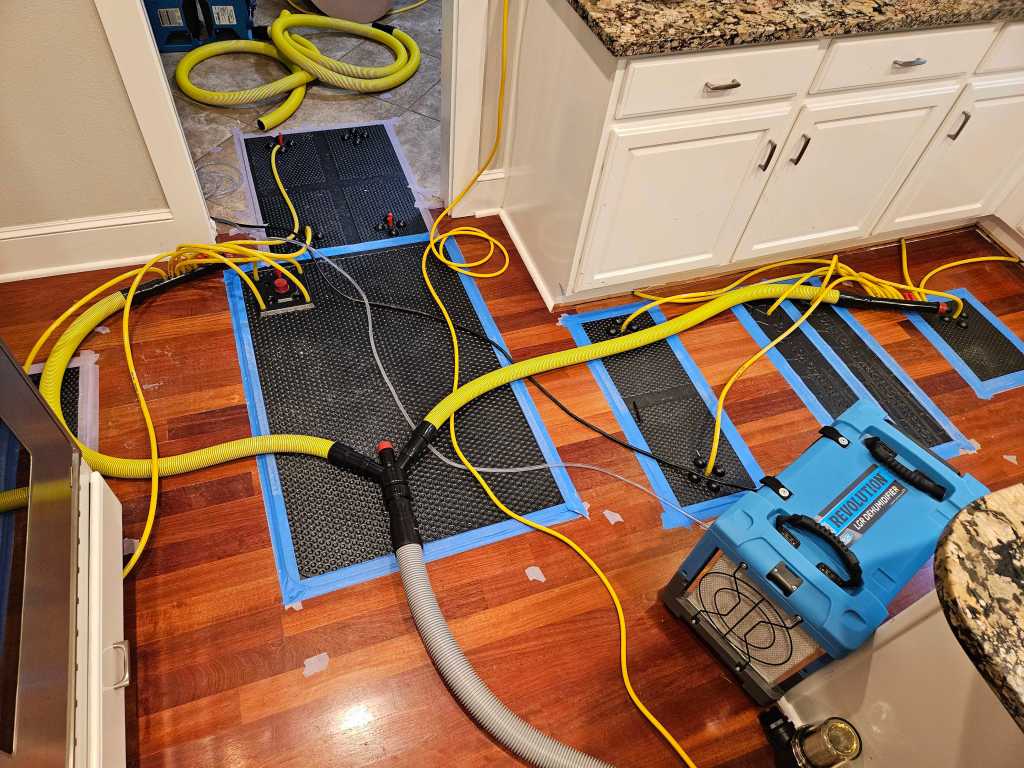 carpet-cleaning-wa.webp