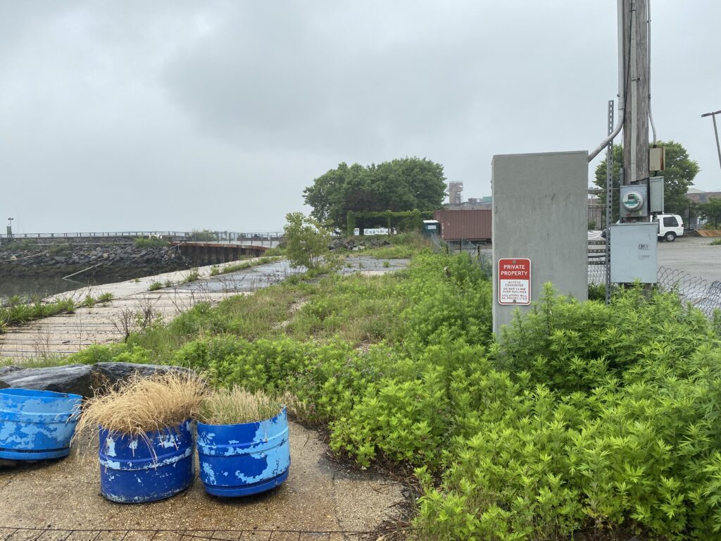 phase 2 site assessment of coastal resiliency