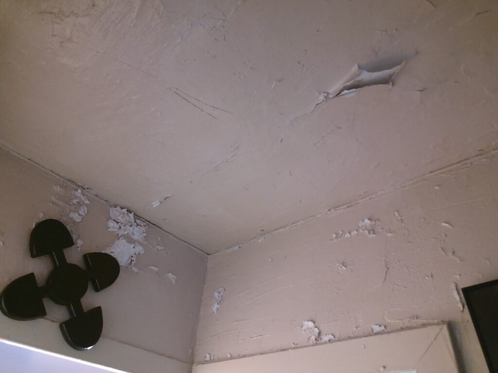 environmental lead wall testing