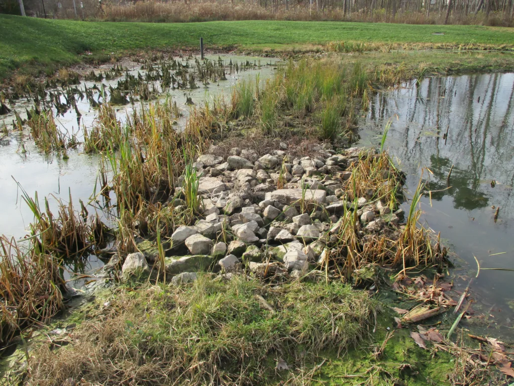 initial stormwater pond inspection