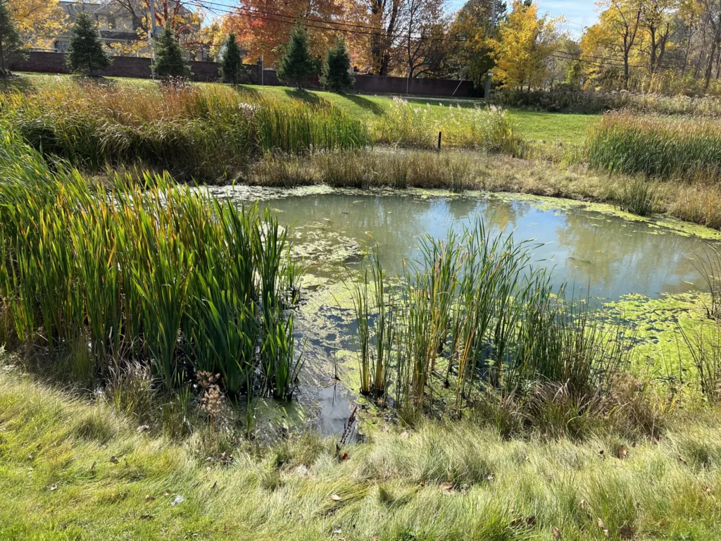 2 years after initial stormwater pond inspection