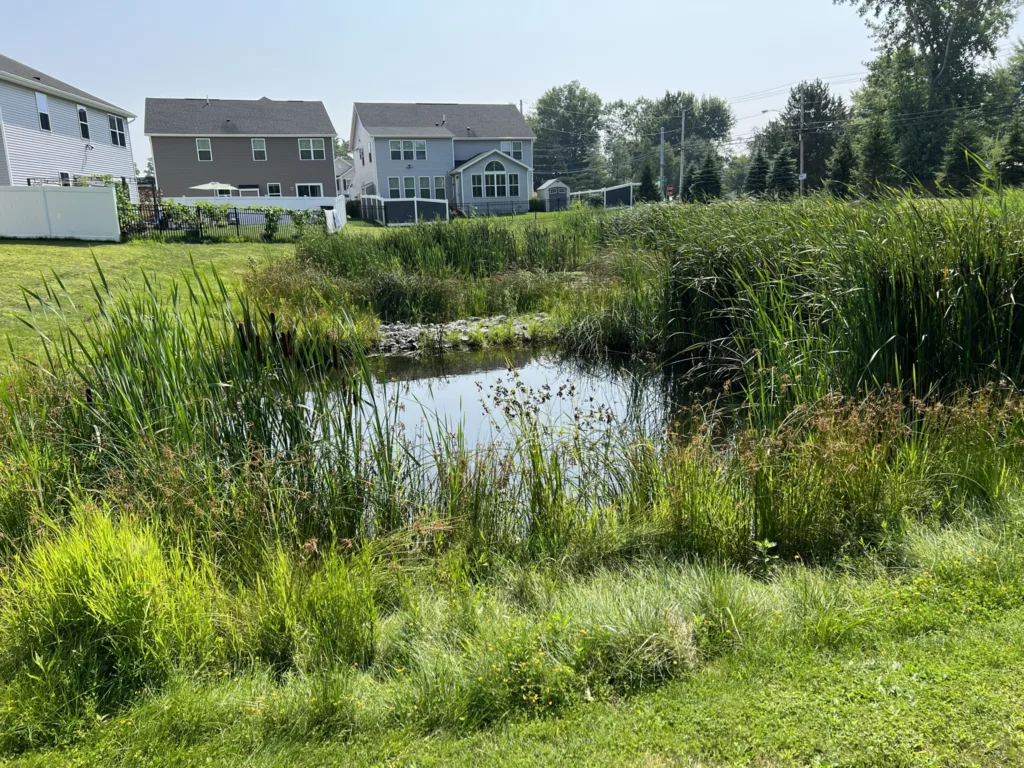 4 years after initial stormwater pond inspection