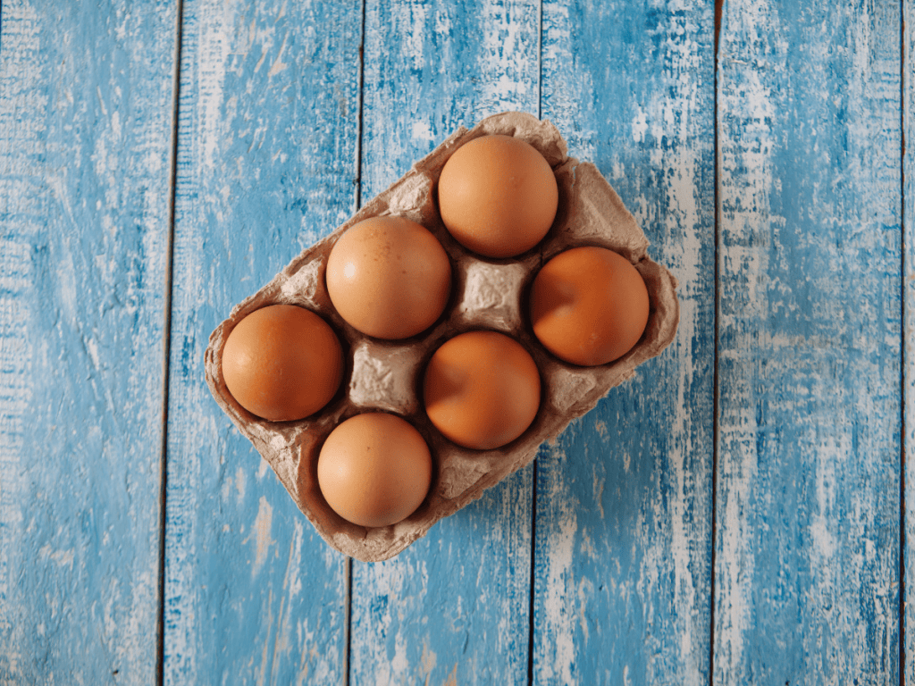 Can Egg Cartons Be Recycled Guide to Responsible Disposal EcoFamilyHub