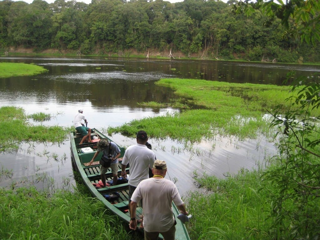Up close and personal with wildlife in the Amazon jungle