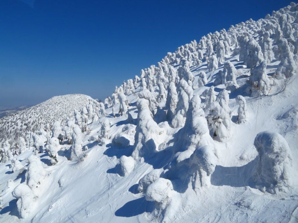 青森的睡魔祭 Juhyo Hakkoda Mountains