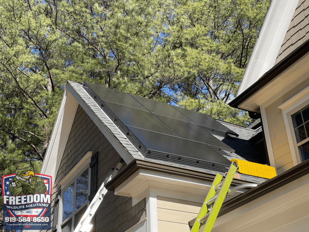 Solar Panel Guards