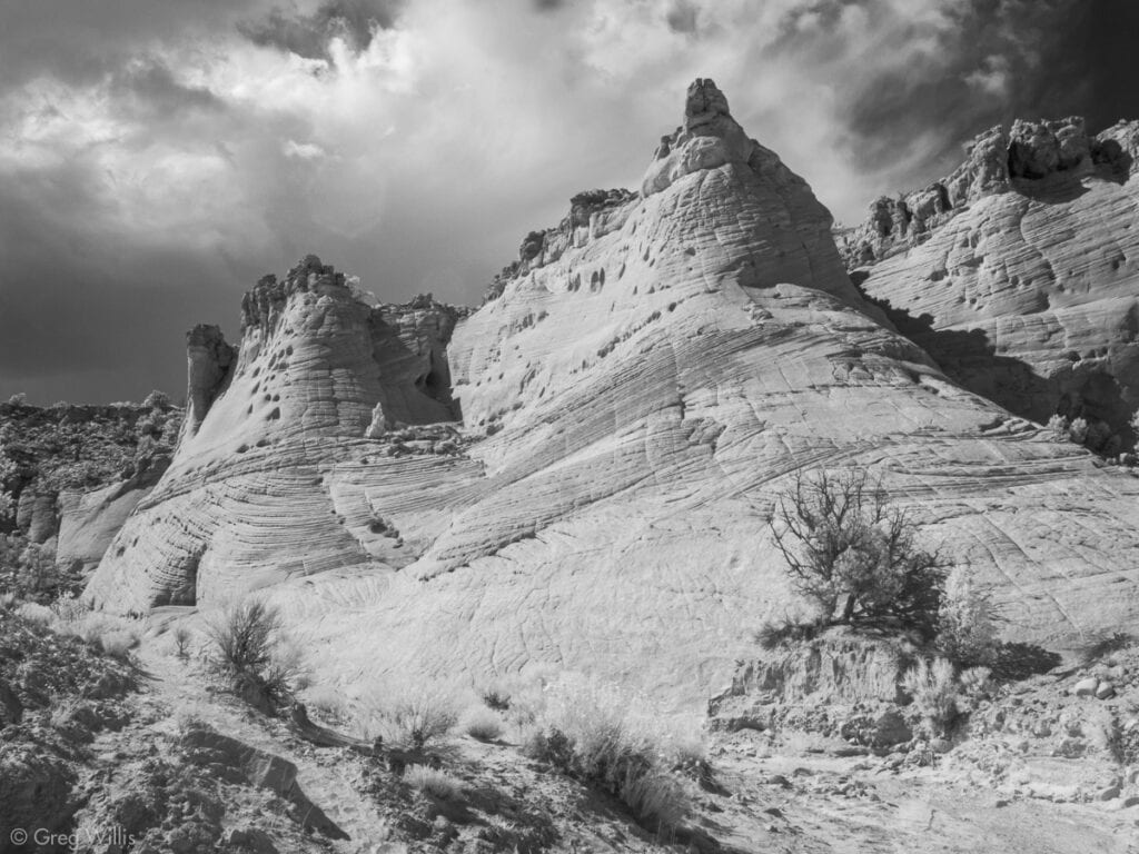 Harris Wash Sandstone