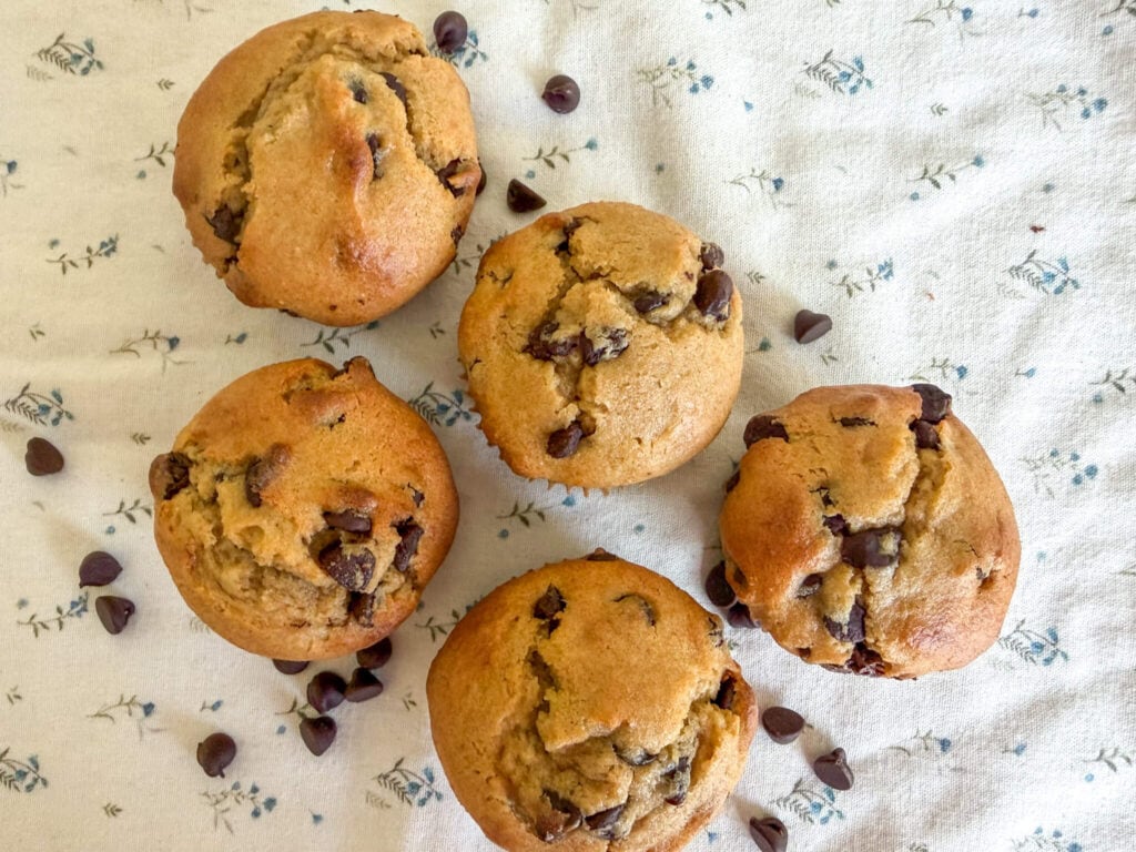Five einkorn flour sour cream chocolate chip muffins arranged sideways on a neutral floral background