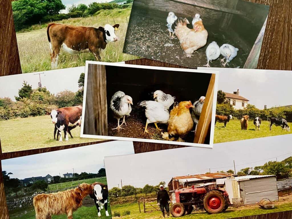 Home in the Pastures