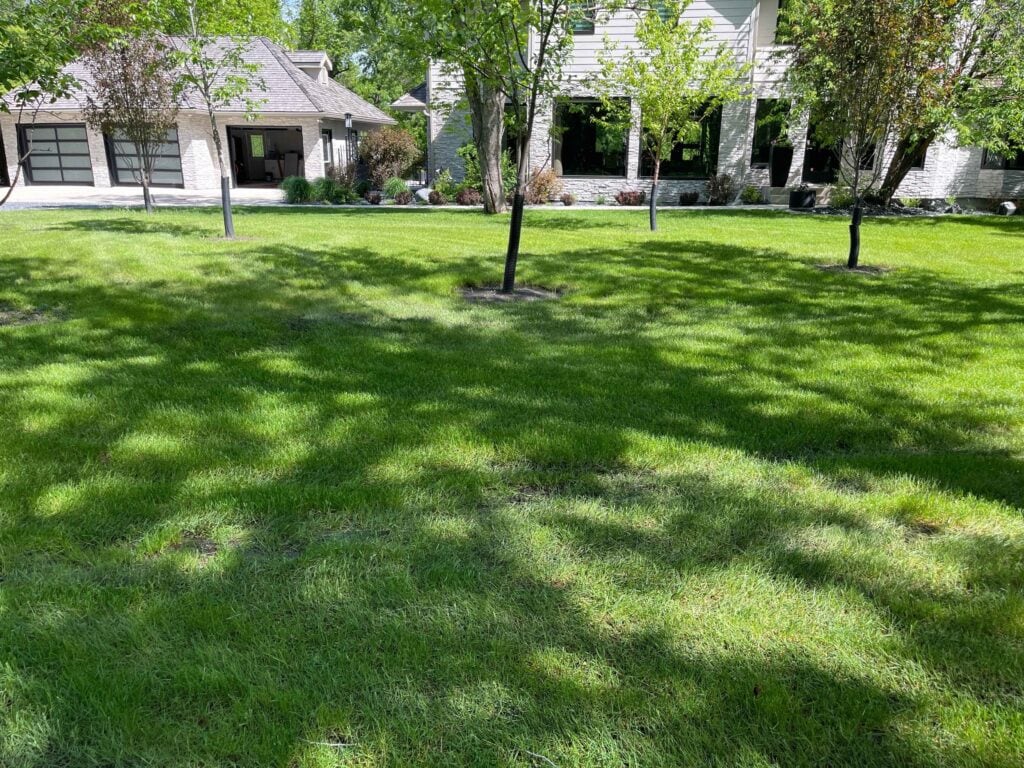 Well-maintained green lawn with mature trees providing shade