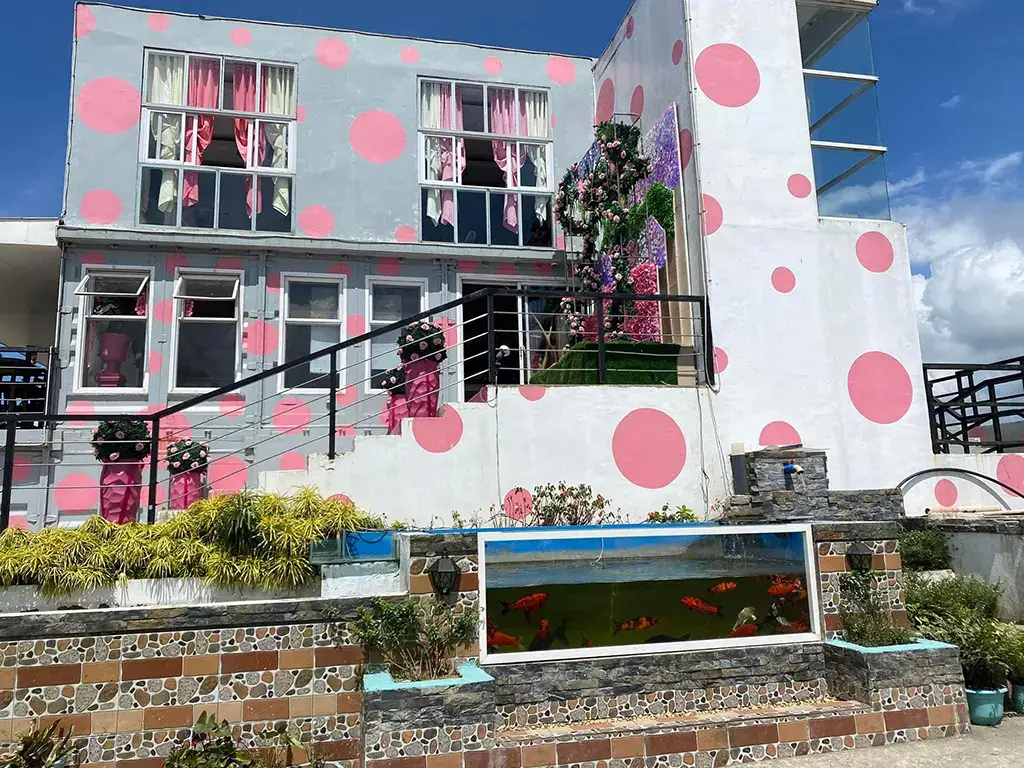 This is a picture of Cafe Alicia itself. It is an interesting place! Note the fish tank, which is a real fish tank!