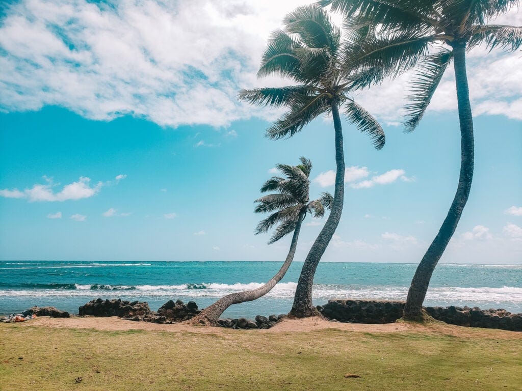 Palm trees swaying near a tropical shoreline with waves rolling in at Sunset Beach on Oʻahu, under a partly cloudy blue sky.