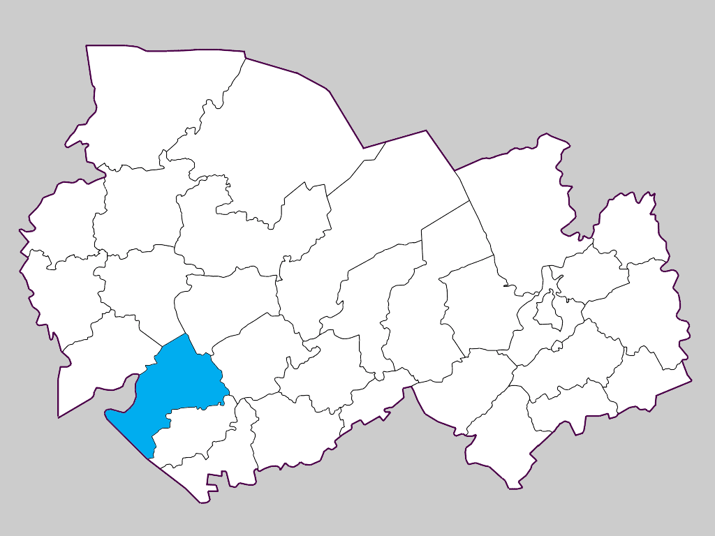 Купинский район