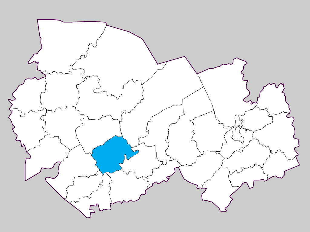 Здвинский район
