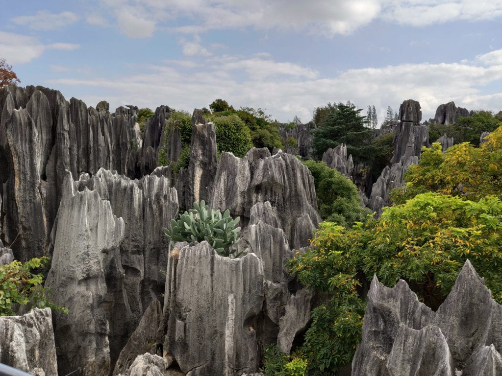 El Bosque de Piedra Caliza de Shilin desde lo alto Bosque de Piedra Caliza de Shilin