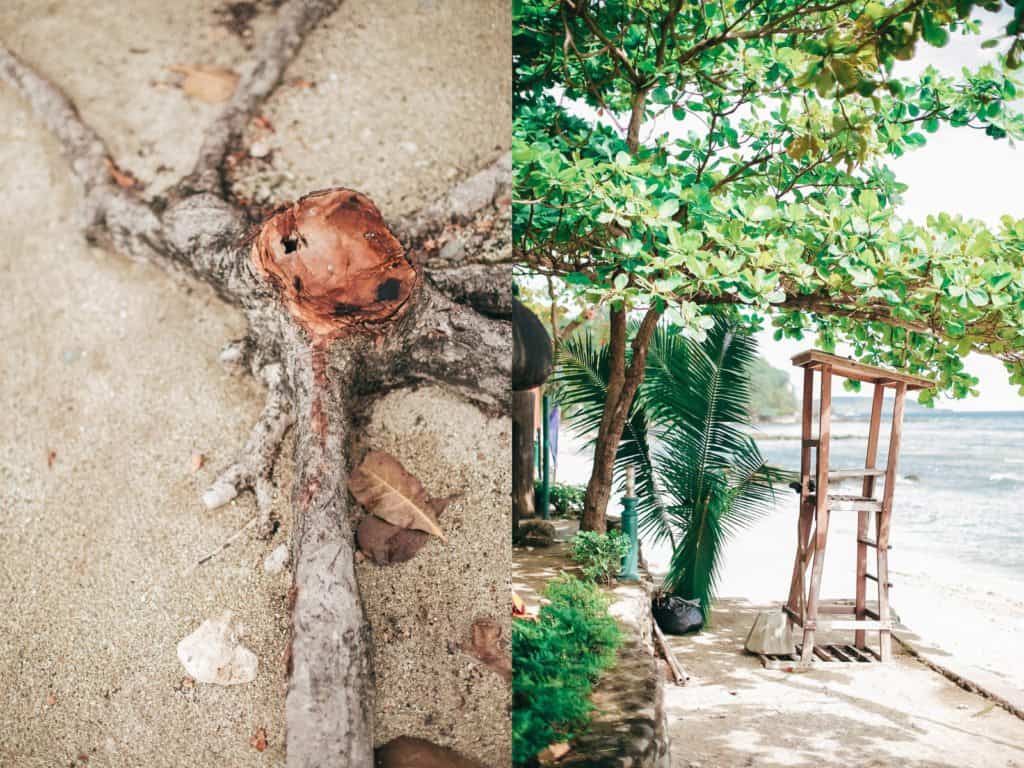 Dream Proposal, Moki Gray, Paper Project