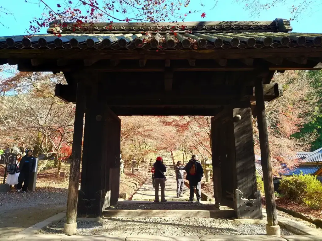 秋月城跡紅葉