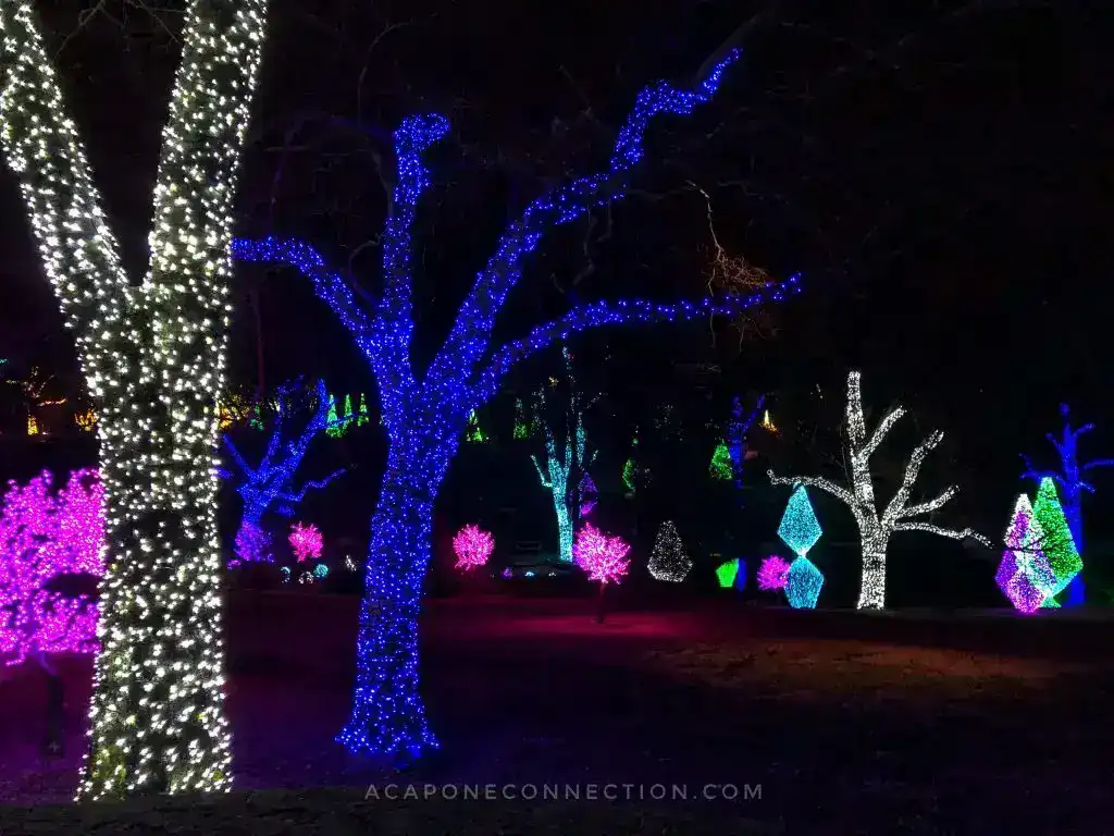 Christmas in Nashville Cheekwood Gardens Lights