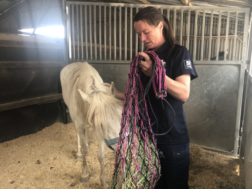 woman feeding pony hay