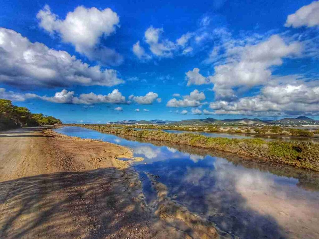 Ses Salines, nel sud dell'isola, imperdibile tappa delle cose da vedere a Ibiza