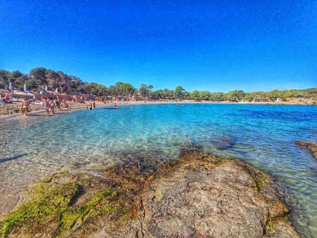 La spiaggia di Cala Bassa, da vedere a Ibiza!