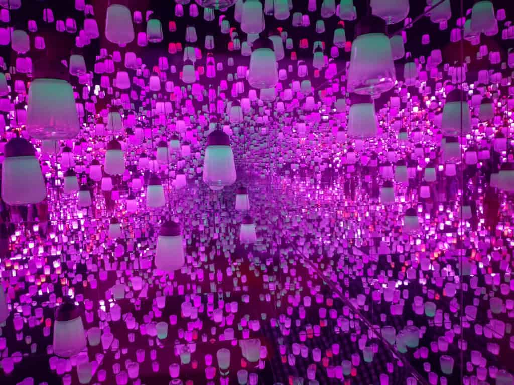 Forest of resonating light, teamLab Borderless in Tokyo